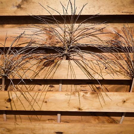 Mini Loft Tesa Διαμέρισμα Mácher Εξωτερικό φωτογραφία
